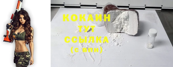 индика Михайловск